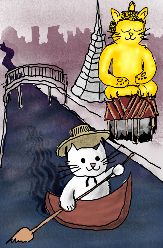 Cat in Bangkok