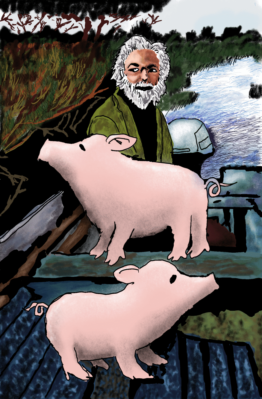 Pigfellas