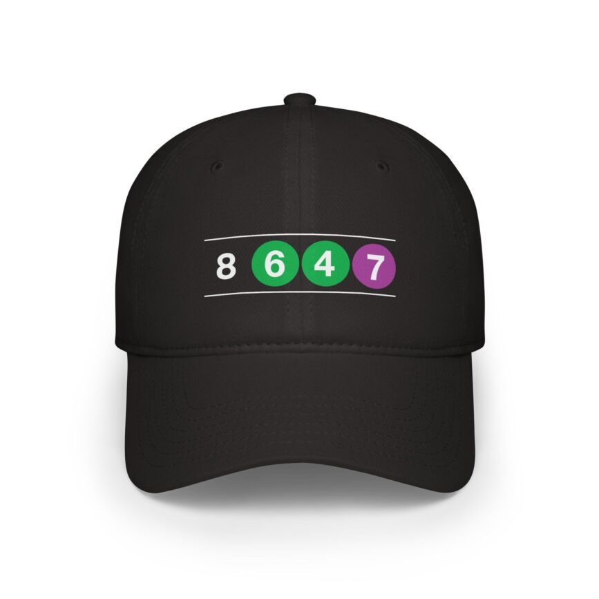 8647 NYC Subway Hat